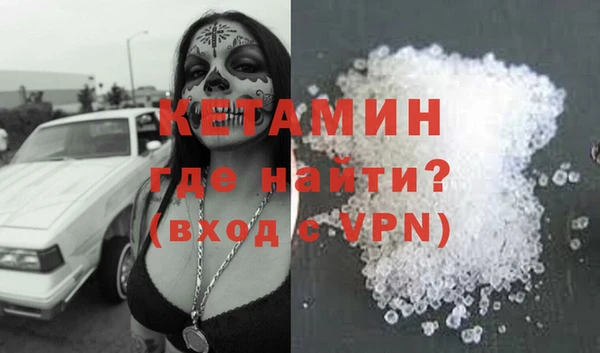 шишки Абаза