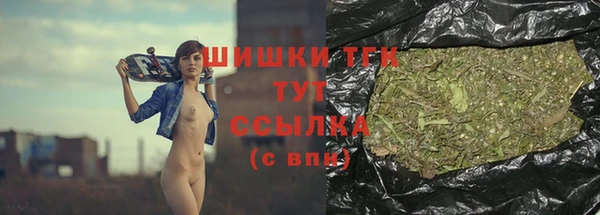 шишки Абаза