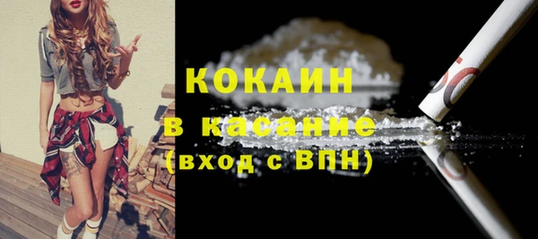 шишки Абаза