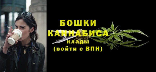 шишки Абаза