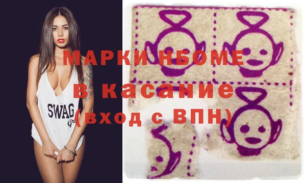 шишки Абаза