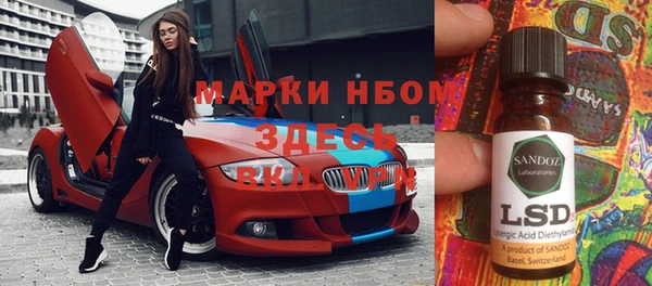 шишки Абаза