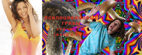 мет Абинск