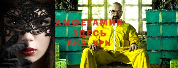 шишки Абаза