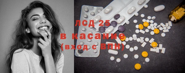 шишки Абаза