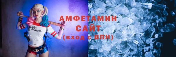 шишки Абаза